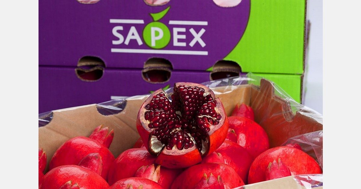 South African pomegranate season kicking off this week