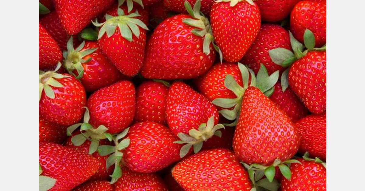 Diversifying to give workers a break during the holidays