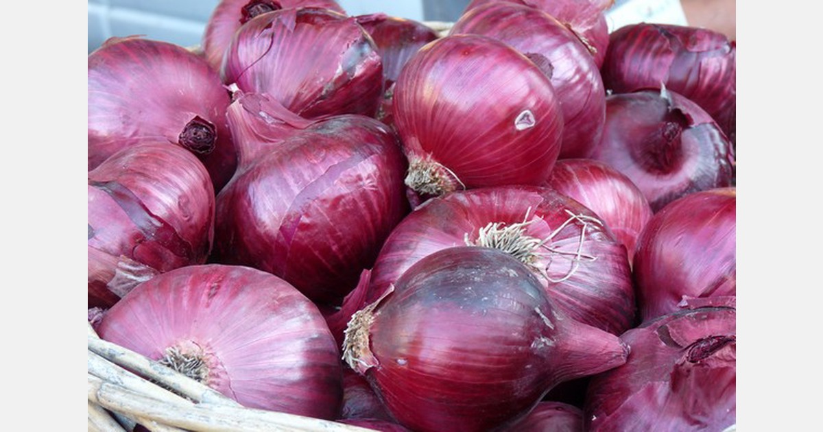 Federal export ban makes onions &lsquo;cheapest&rsquo; vegetable in India