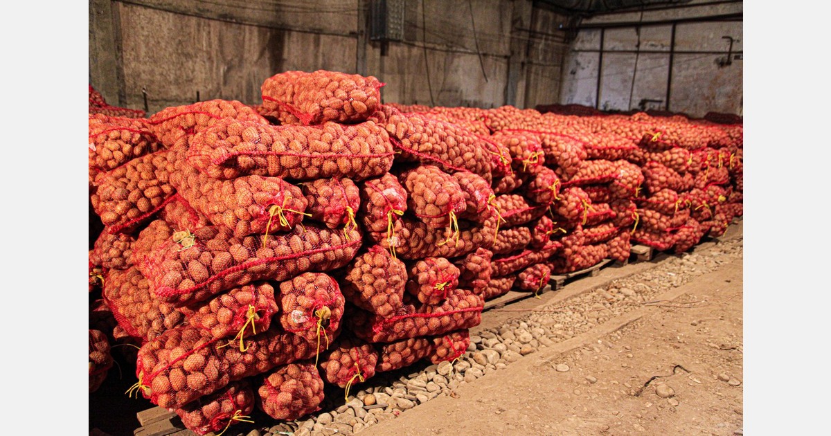 Indian government aims to implement AI technology in warehouses to reduce onion wastage