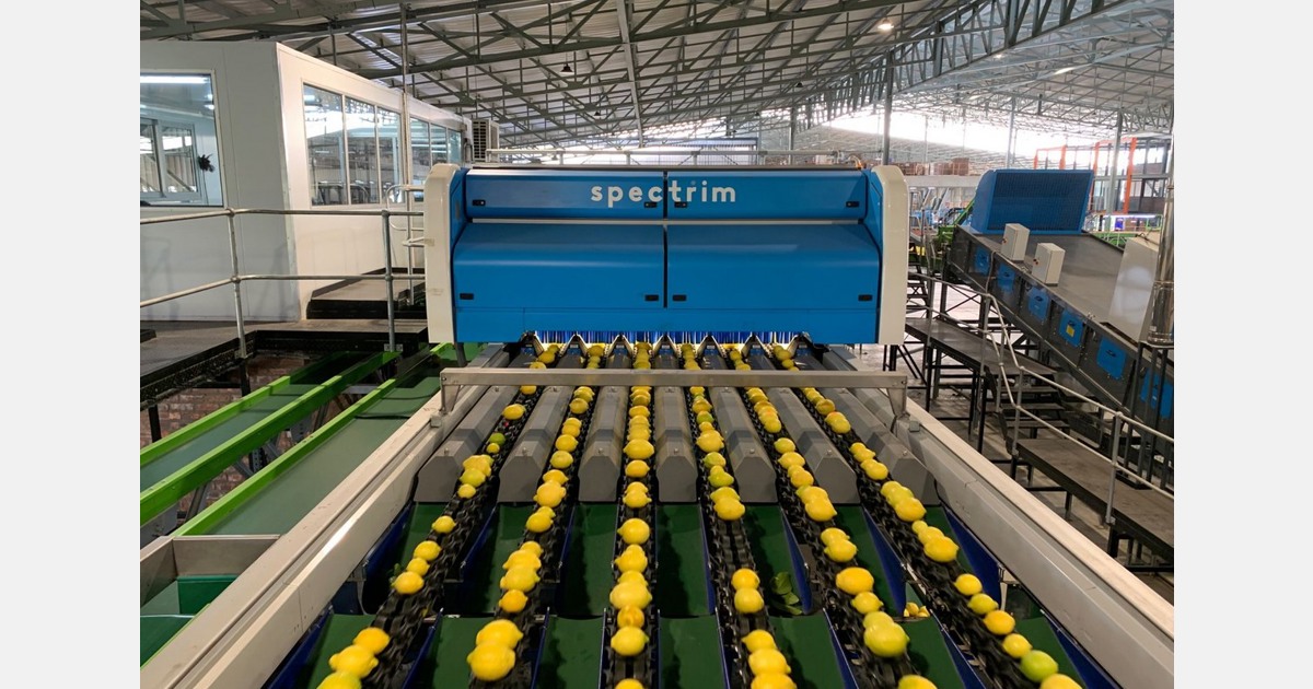 South African citrus producer expands and opens new selling opportunities by using machines