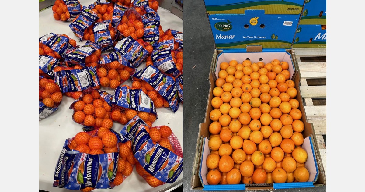 The lack of small California Navel oranges may offer opportunities for Morocco