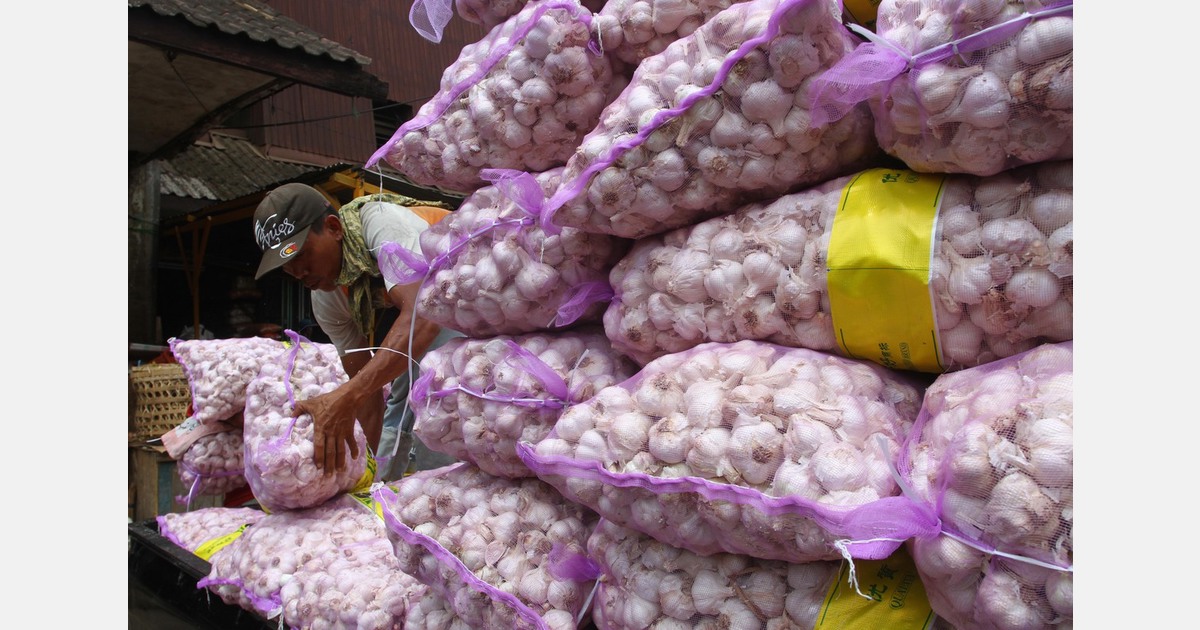 Garlic prices surge in India, reaching Rs 350 per kg