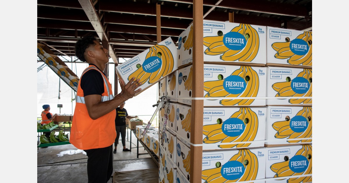 Ecuadorian banana exporter sees 40 sales increase in 2023