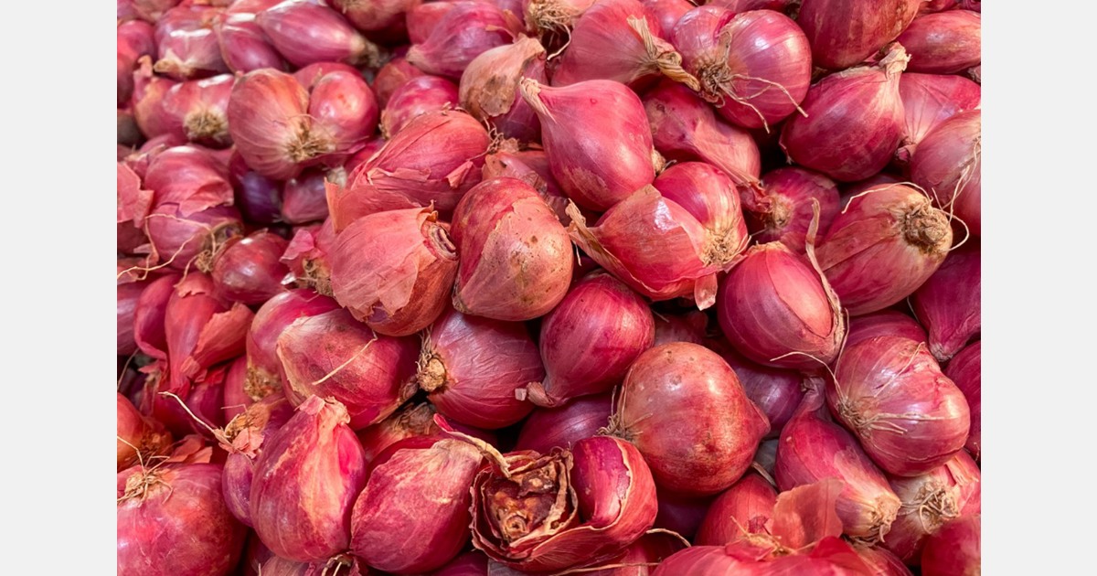 Onion prices skyrocket in Pakistan as inflation rises