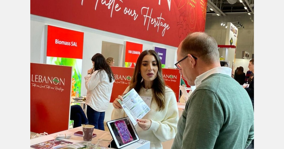 "Lebanese origin remains relatively undiscovered and deserves greater visibility"