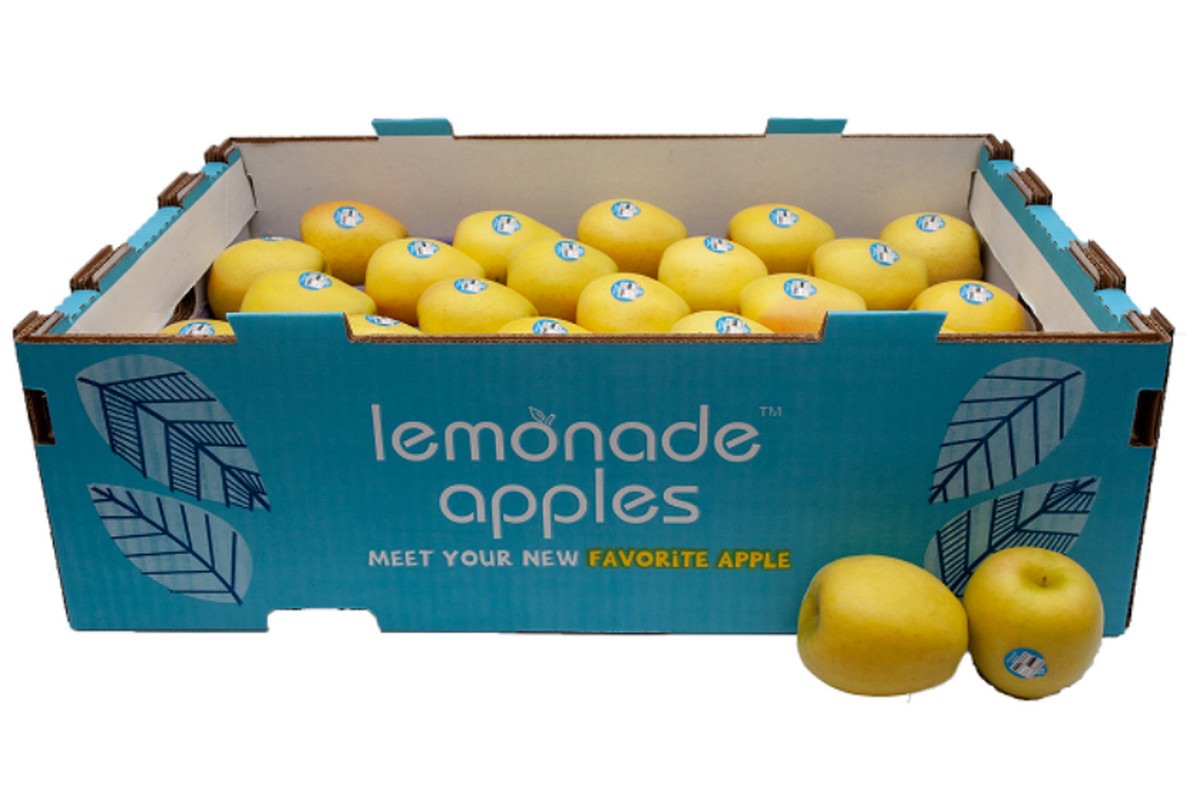 Lemonade apples make East Coast debut