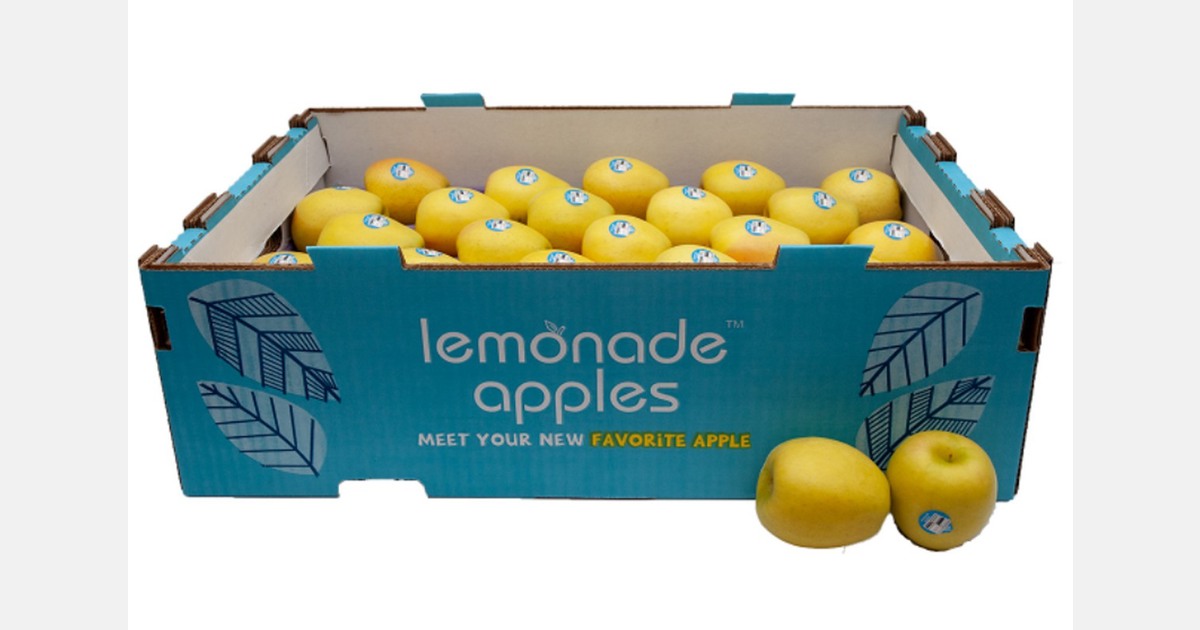 Lemonade apples make East Coast debut