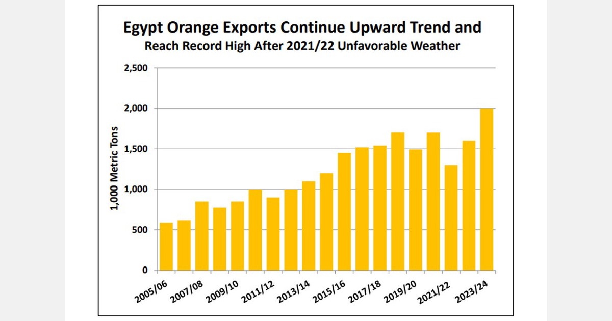 Egyptian exports 2023/24 forecast to increase by 25 percent