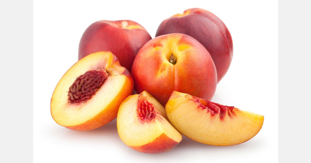 Nectarine production grows as South Africa promotes new season Stone Fruit