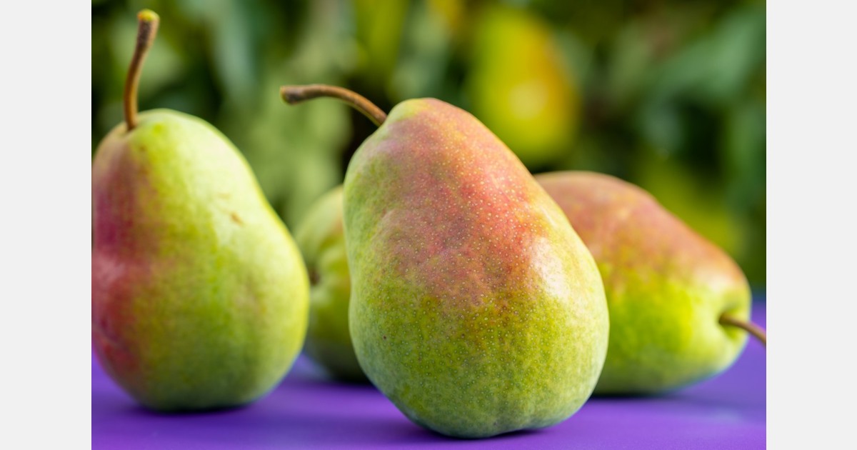 International collaboration results in Happi Pear launch