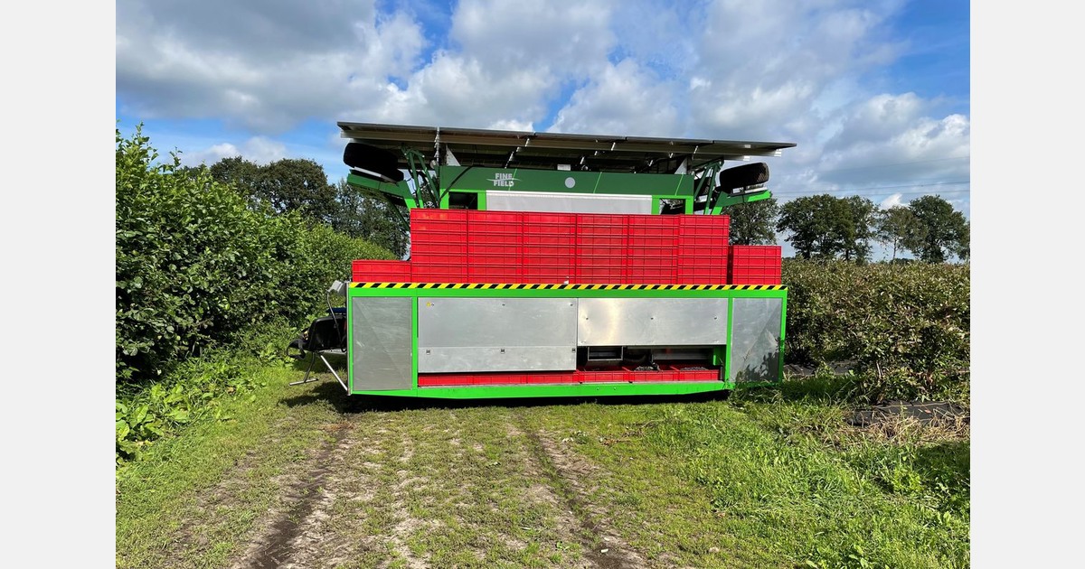 Nursery company invests in mechanical blueberry harvesting technology