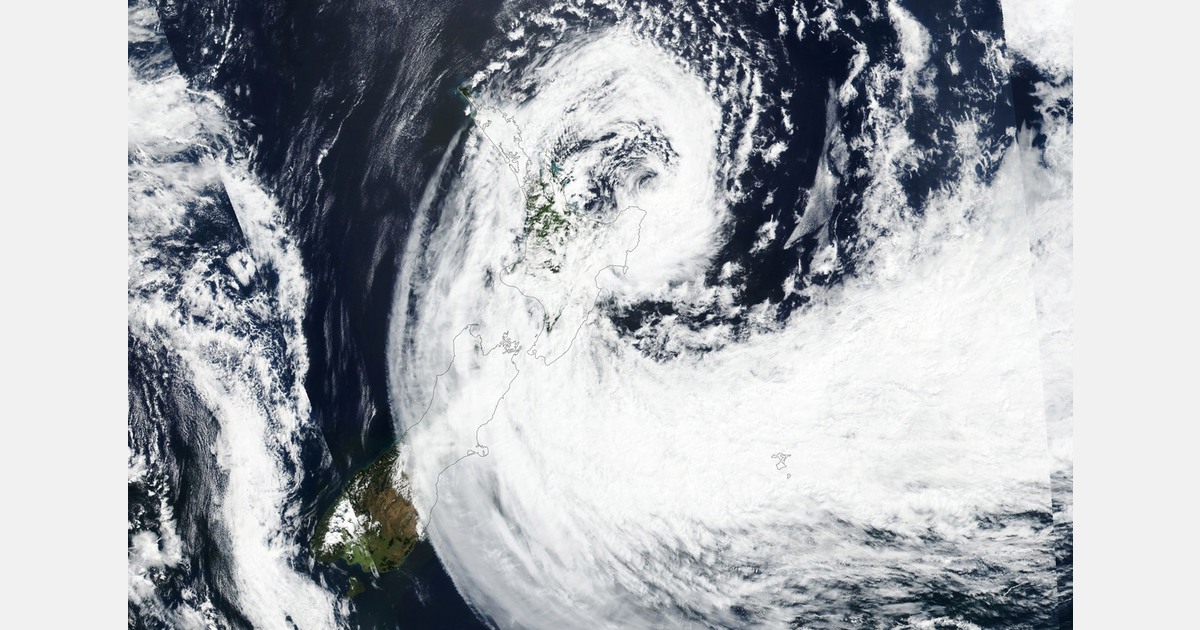 T&G Global in New Zealand forecasts doubled loss due to cyclone insurance complexity