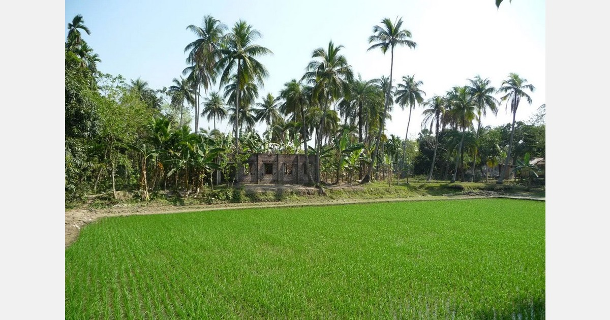 Rajshahi region emerges as a beacon for agro-processing enterprises