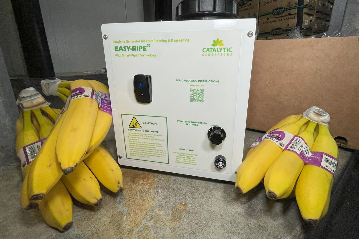 Ethylene product for banana ripening approved in Germany