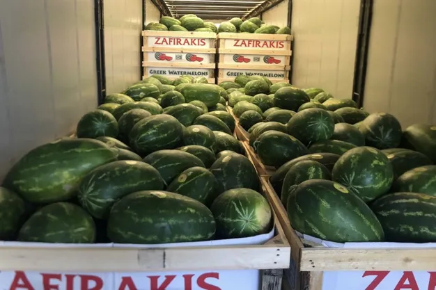 Possible earlier harvest for Greek watermelons