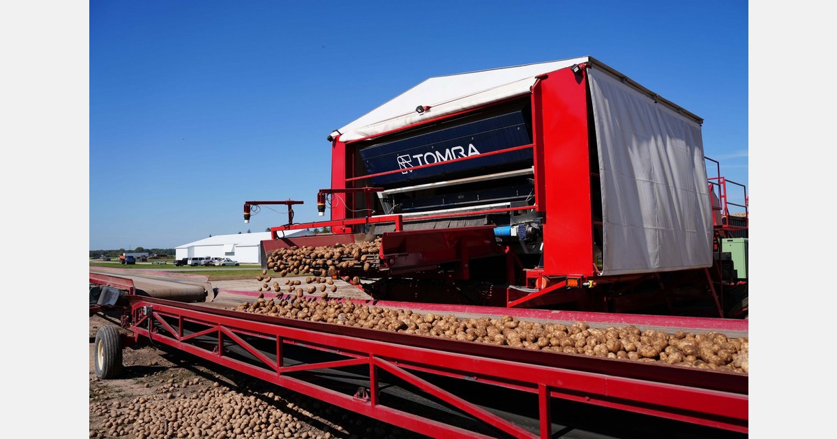 Machine sorter enables US producer to supply USA s most popular potato