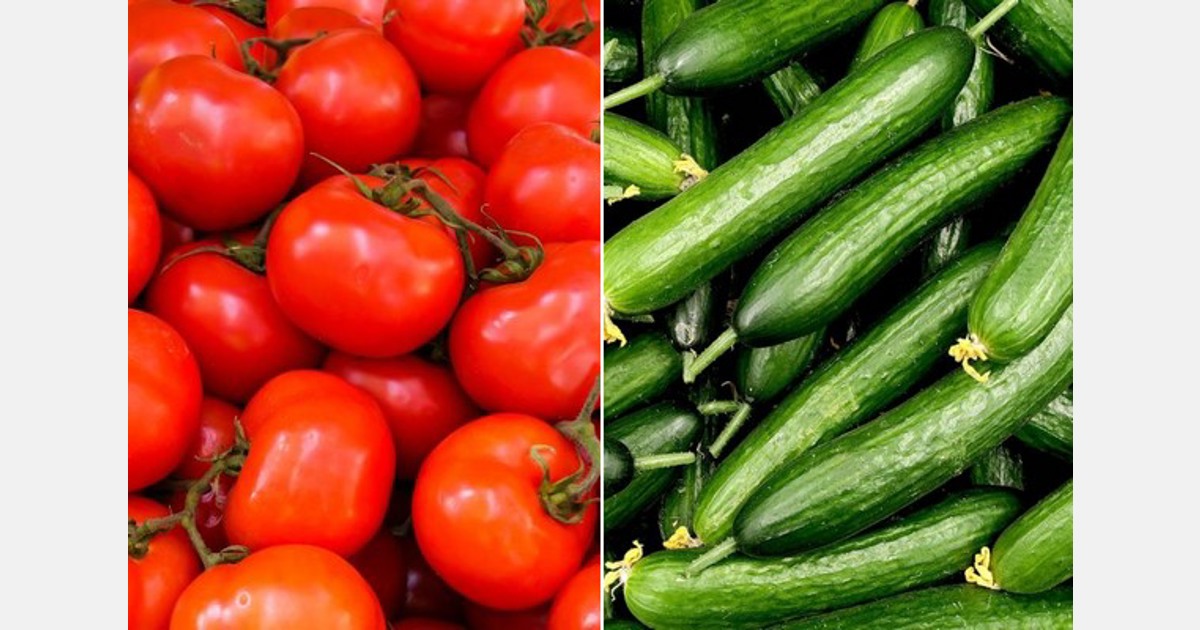 Lietuvos daržovių rinka susiduria su Rusijos gamybos iššūkiais