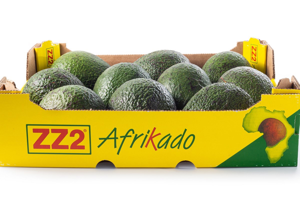 Very good start to South Africa's 2024 avocado season”