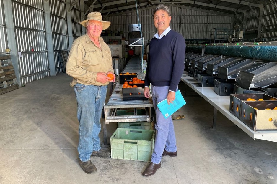 Australian best practice guide for citrus microbial food safety launched