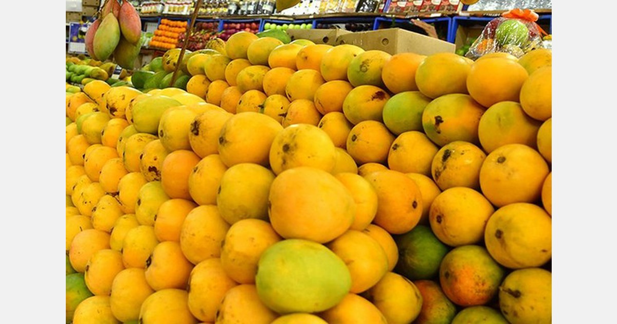 Mango market sees increased prices in Bengaluru