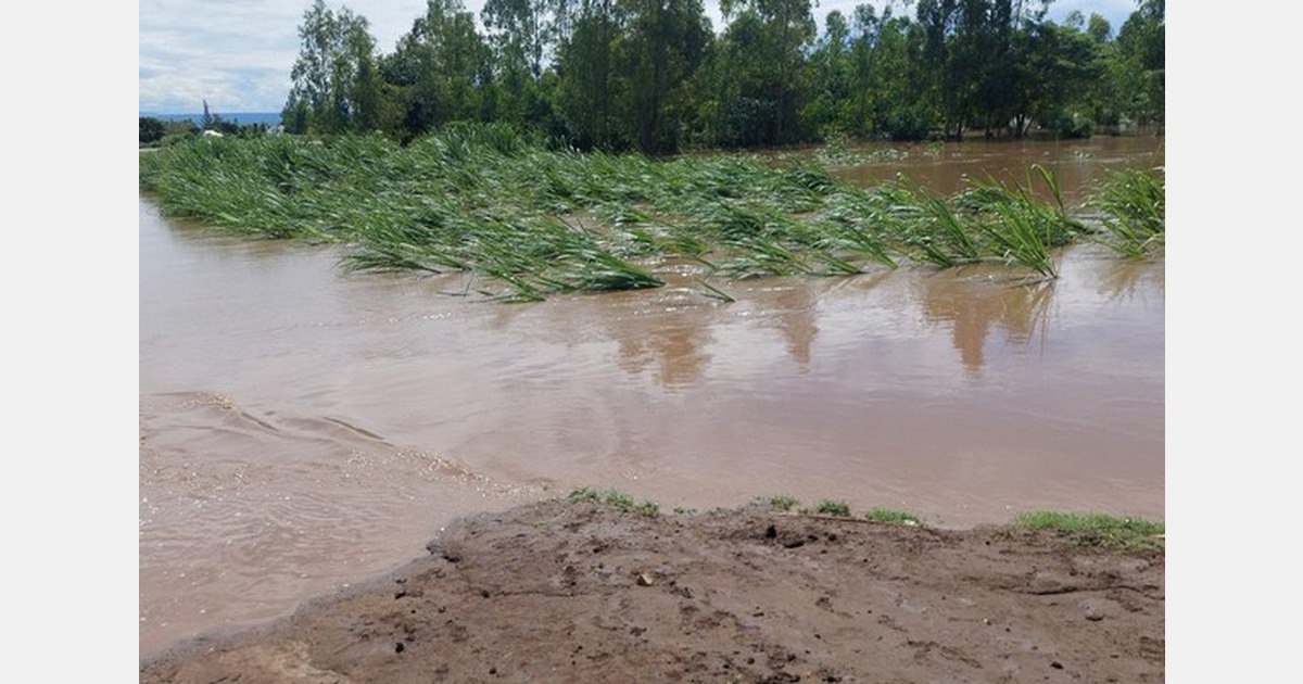 Impending food shortage in Nyandarua due to floods
