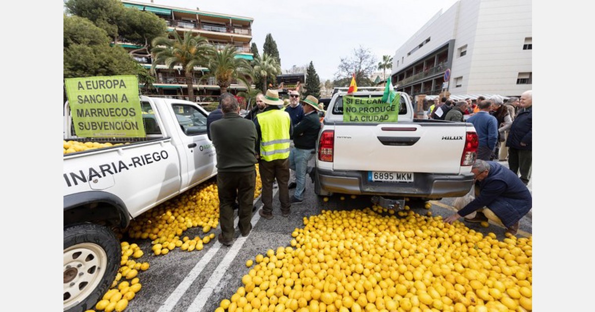 España se enfrenta a un excedente de limón de 400.000 toneladas, que se prevé que siga sin venderse