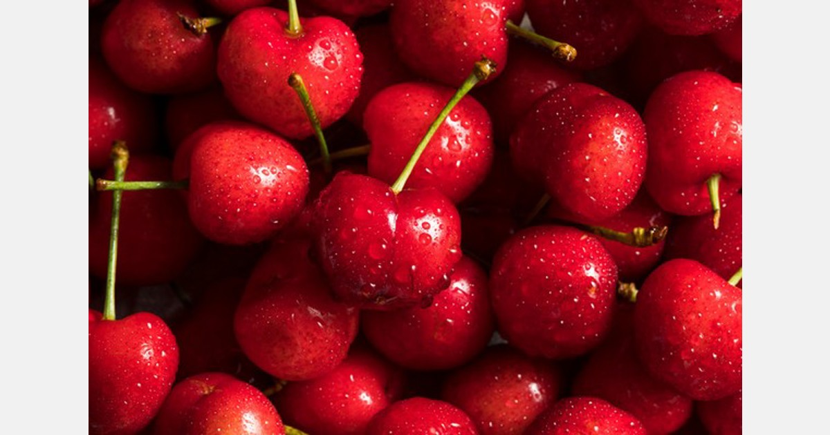 Cherry season in Himachal Pradesh starts well, after a delay