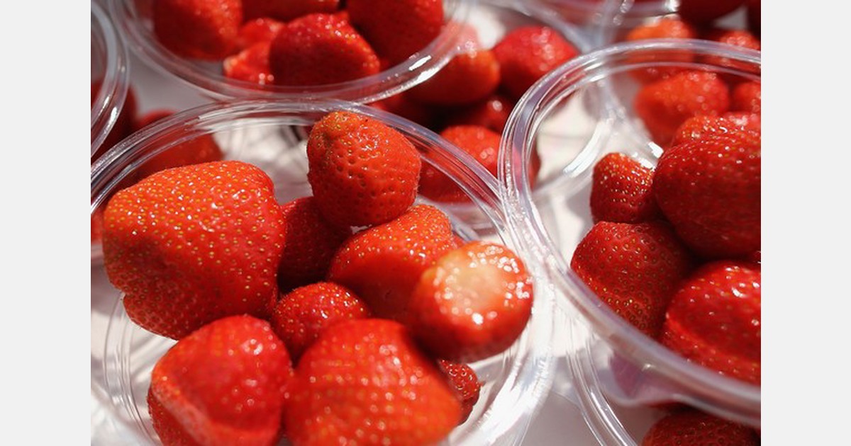 Wimbledon spectators will find larger and more flavorful strawberries