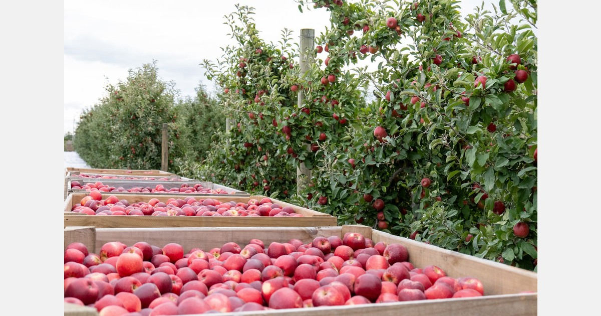 "The first containers are now enroute to Mainland China"
