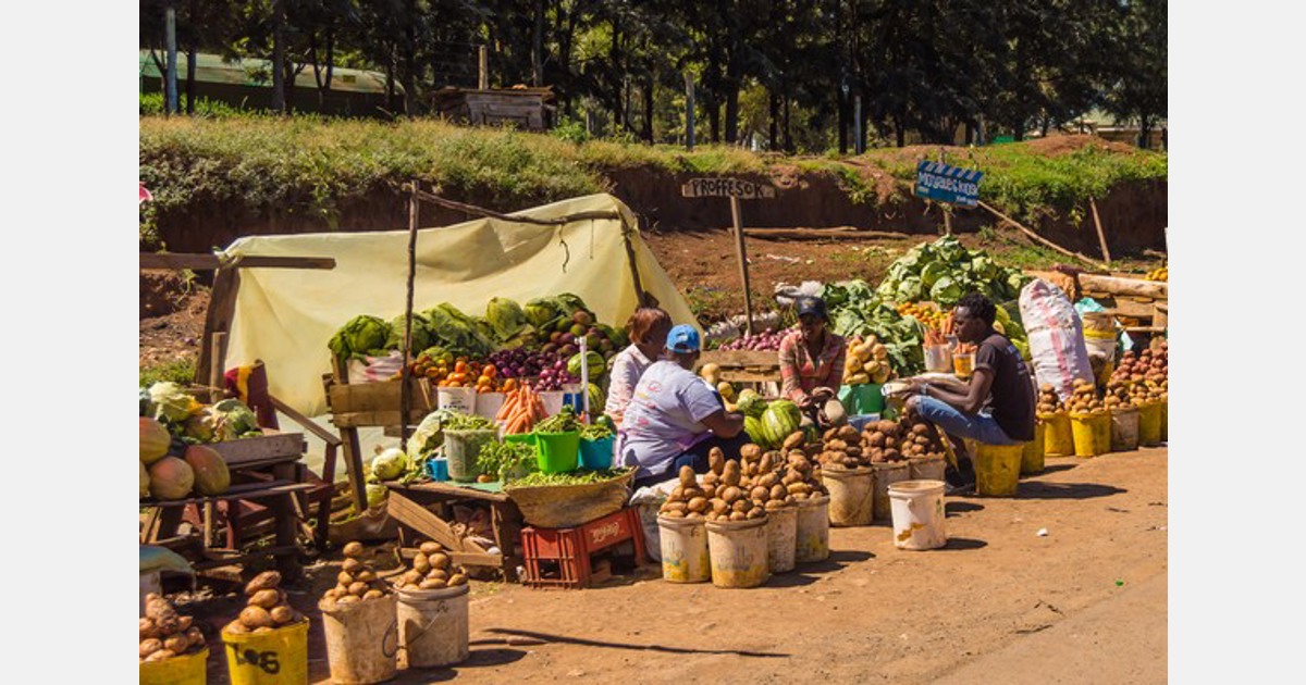 Kenya to gain from COMESA post-harvest loss plan
