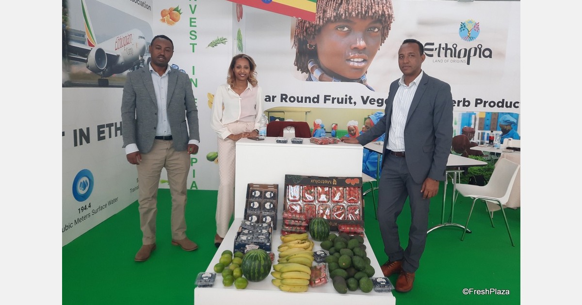 "Blueberries and avocados are up and coming products for export”