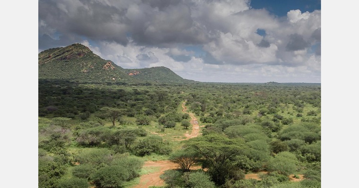 Heavy rains impact fresh produce in Kenya