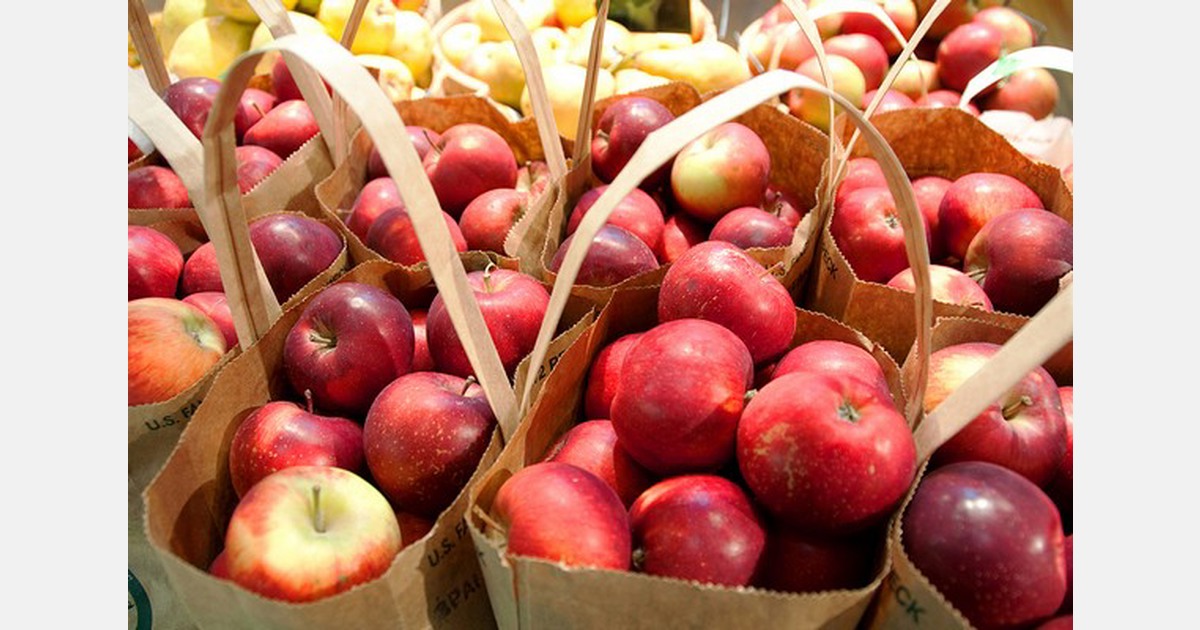 Climate change exerts pressure on fruit production Himachal Pradesh