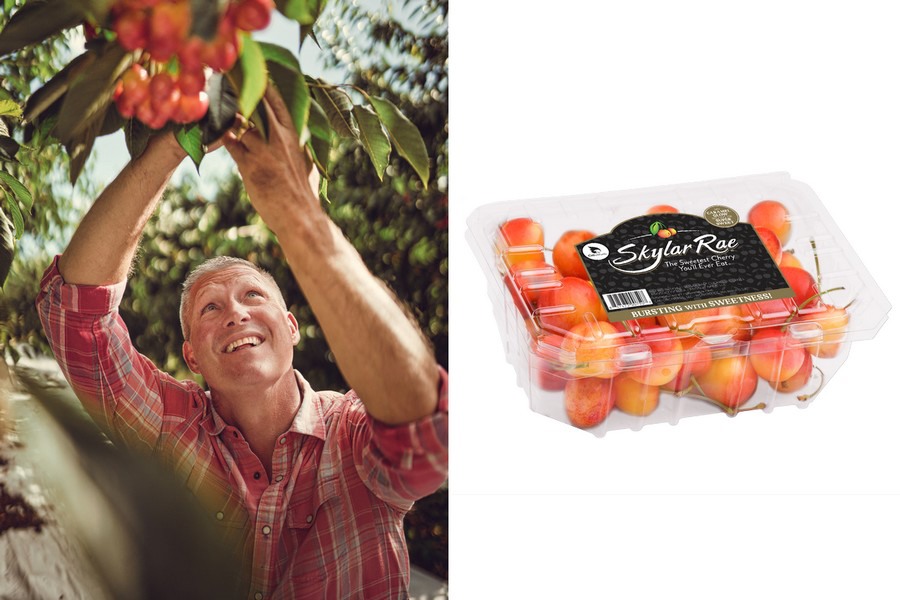 Skylar Rae cherries back on shelves