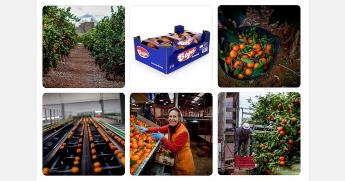 AgroFresh helps Clementine Producer Bagú improve quality through data