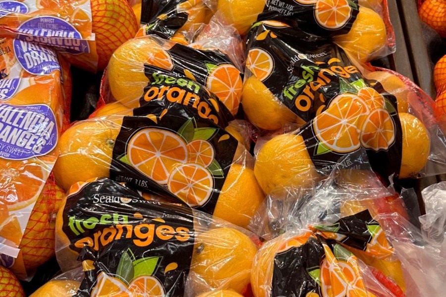 Sealdorangesedited.jpg?preset=