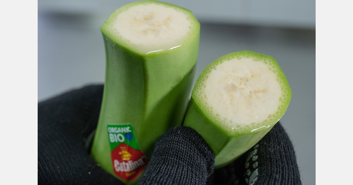 Reflecting on the 2024 banana market – a year of unusual dynamics