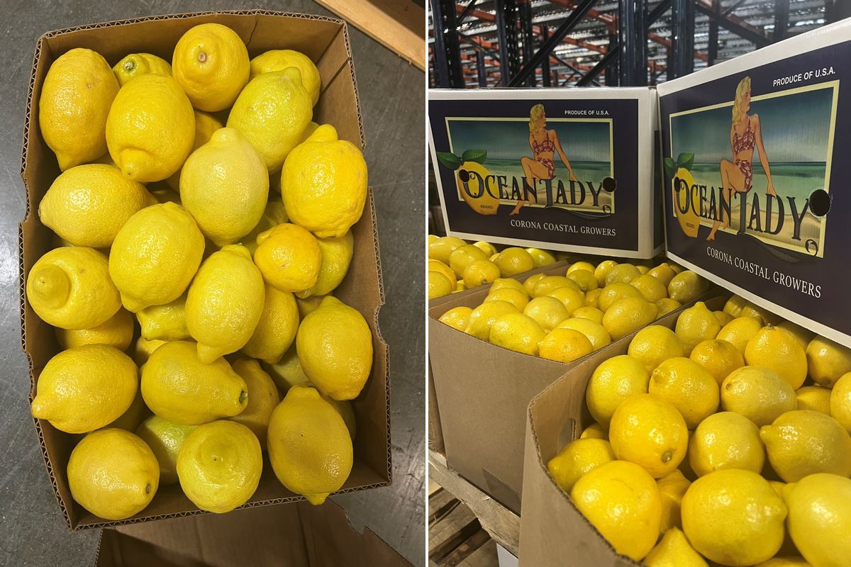 California desert lemon season off to a slow start due to small sizing