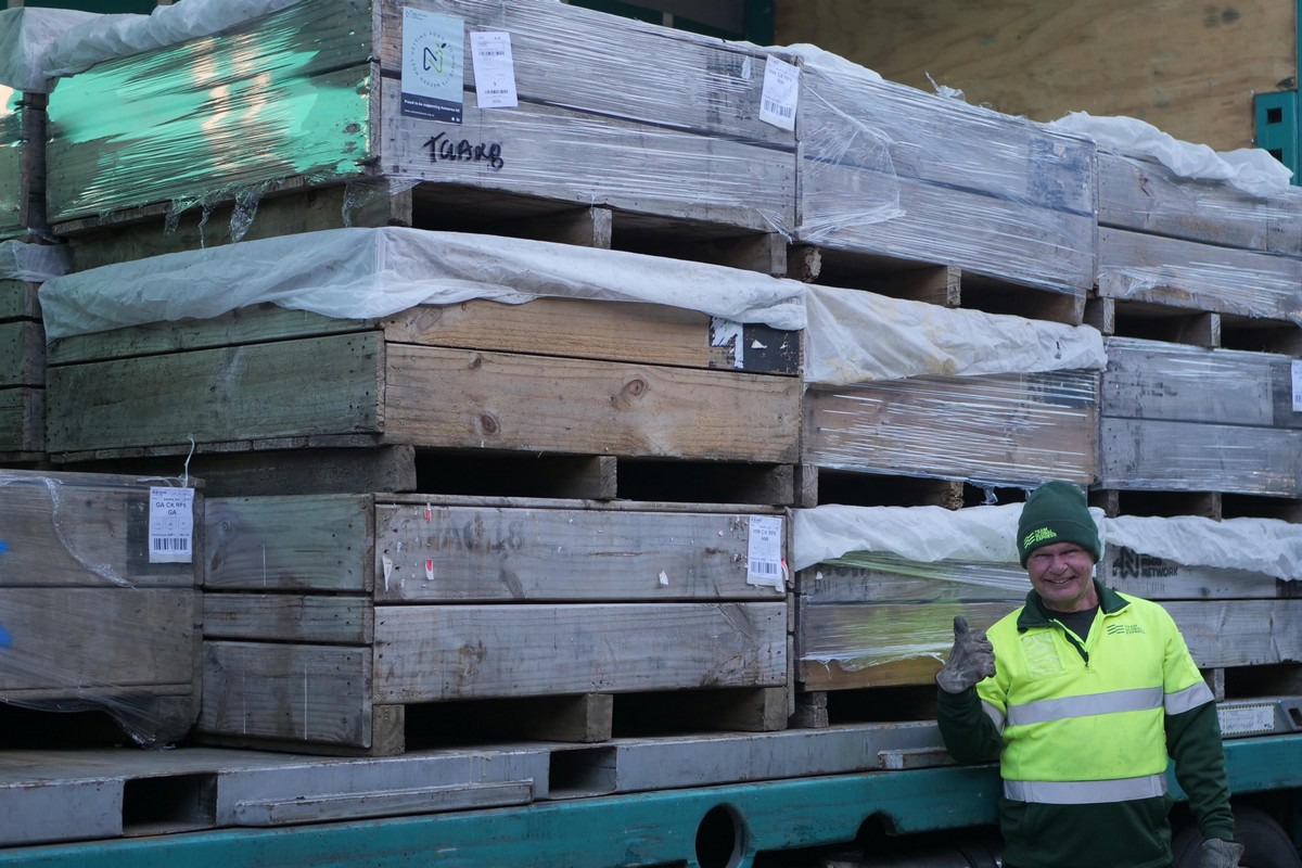 Donated Kiwifruit provides nutritional boost for New Zealanders in need