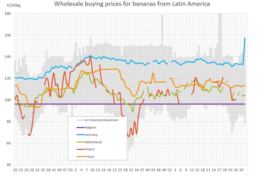 The average wholesale price for bananas from Latin America rose to €157