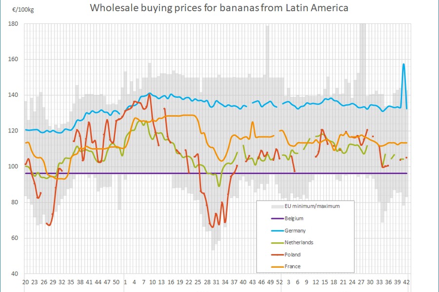 The average wholesale price for bananas from Latin America €207 per 100