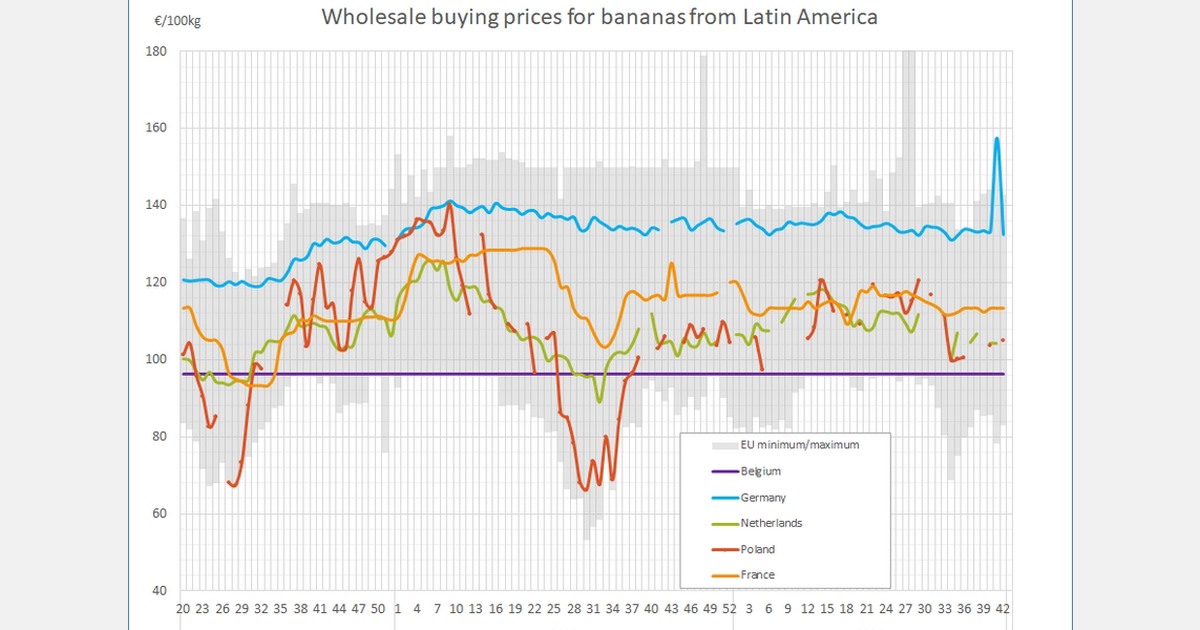 The average wholesale price for bananas from Latin America €207 per 100
