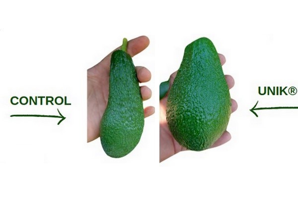 UnikGadotAgro.jpg?preset=OgImage