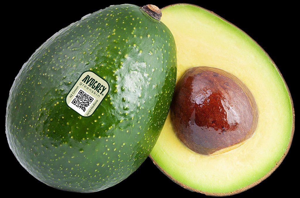 AvoGrey Greenskin avocados return with increased supply