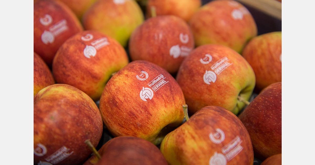 "Exporters have often become too complacent"