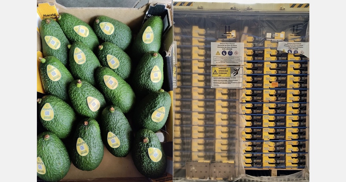 “The category has been developing beautifully, but excess arrivals can set the industry back”