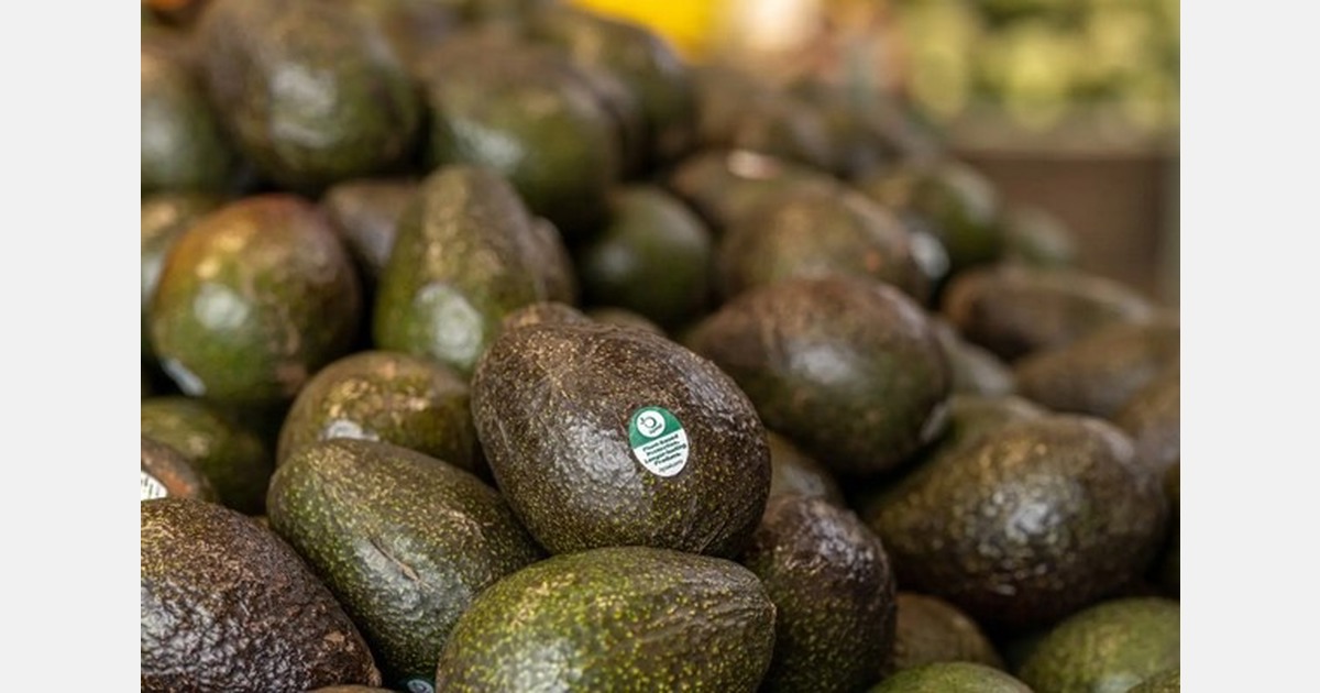 Rep. Stutzman Advocates for Transparency in Food Labeling with Apeel Reveal Act thumbnail image