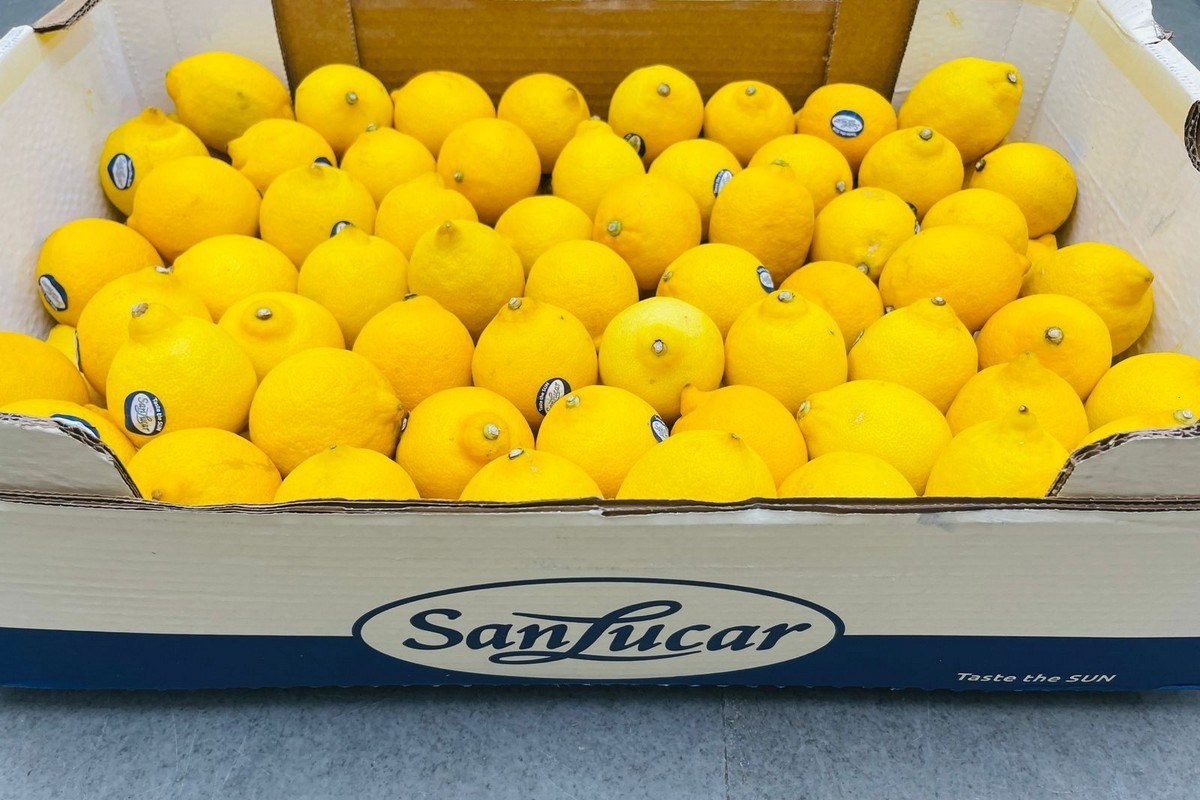 We've launched the first import of South African seedless lemons”