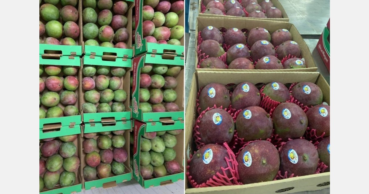 Unusually favorable market position for Senegalese mangoes this season